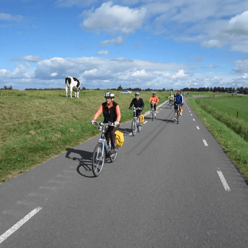 Webdesign Breezand, Project Direct, Timo van Tilburg, Snel een Webdesigner Breezand, Website laten maken Breezand, Website laten bouwen Breezand, SEO Breezand, SEA Breezand, Online Marketing Breezand, Wordpress Breezand, Zoekmachine optimalisatie Breezand