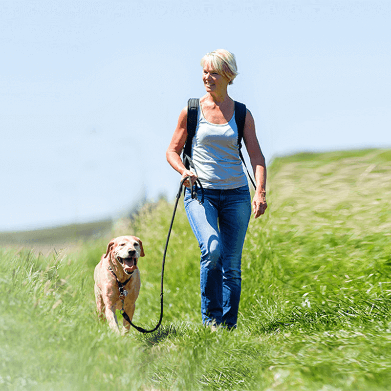 Webdesign Breezand, Project Direct, Timo van Tilburg, Snel een Webdesigner Breezand, Website laten maken Breezand, Website laten bouwen Breezand, SEO Breezand, SEA Breezand, Online Marketing Breezand, Wordpress Breezand, Zoekmachine optimalisatie Breezand